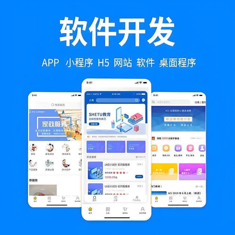 天津软件开发:打造您的专属科技翅膀